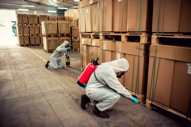 Best Exterminator Services  in Alma, AR