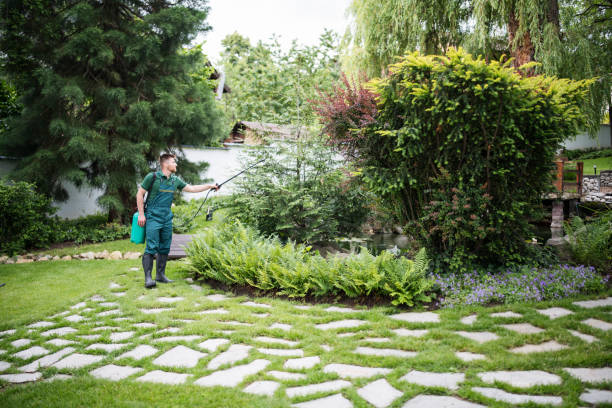 Best Affordable Pest Control Services  in Alma, AR