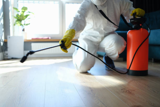 Best Flea Control Services  in Alma, AR