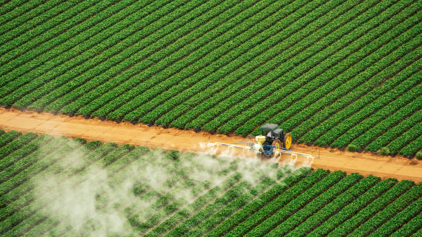 Pest Prevention Services in Alma, AR
