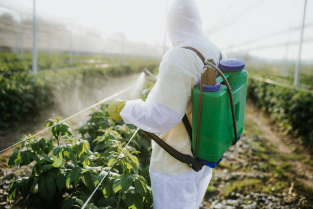 Best Wildlife Control Services  in Alma, AR